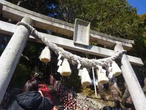 素盞嗚神社の鳥居