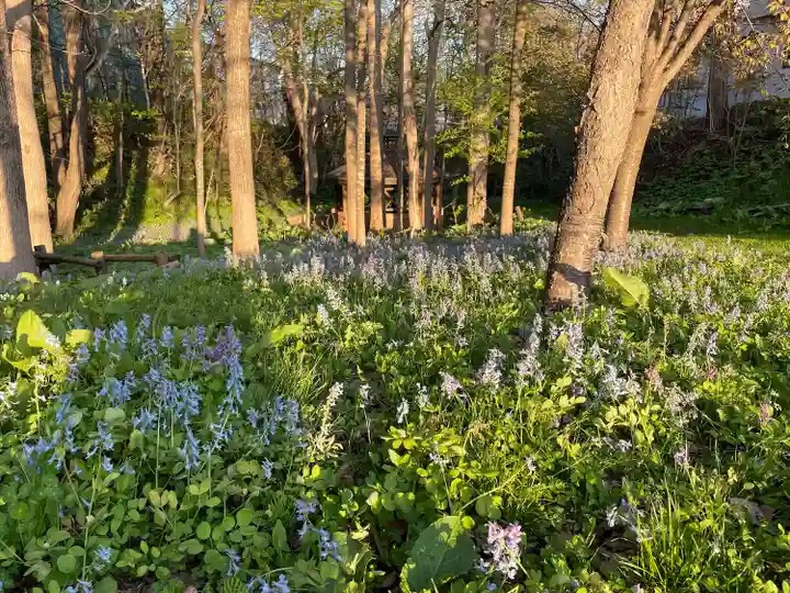 滝川神社の自然