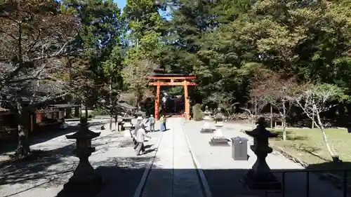 丹生都比売神社(和歌山県)