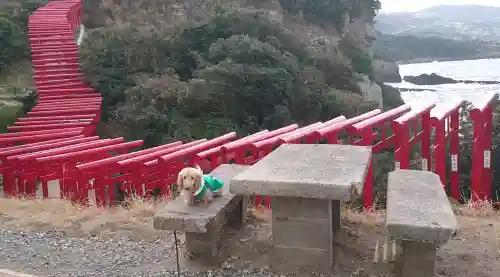 元乃隅神社(山口県)