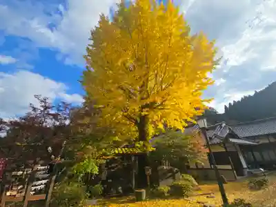 温泉寺(兵庫県)