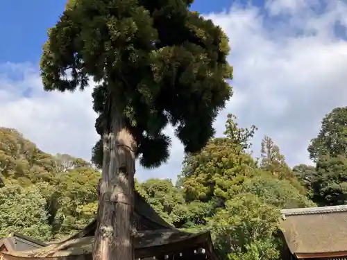 大神神社(奈良県)