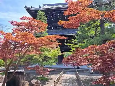 くろ谷 金戒光明寺(京都府)