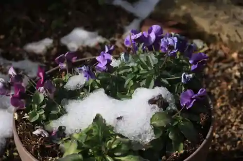 豊景神社の庭園