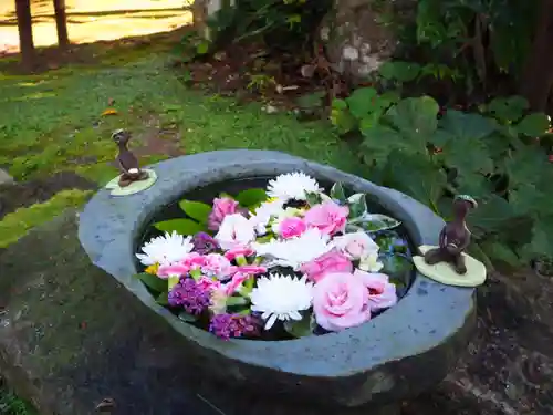 かっぱの寺 栖足寺の手水