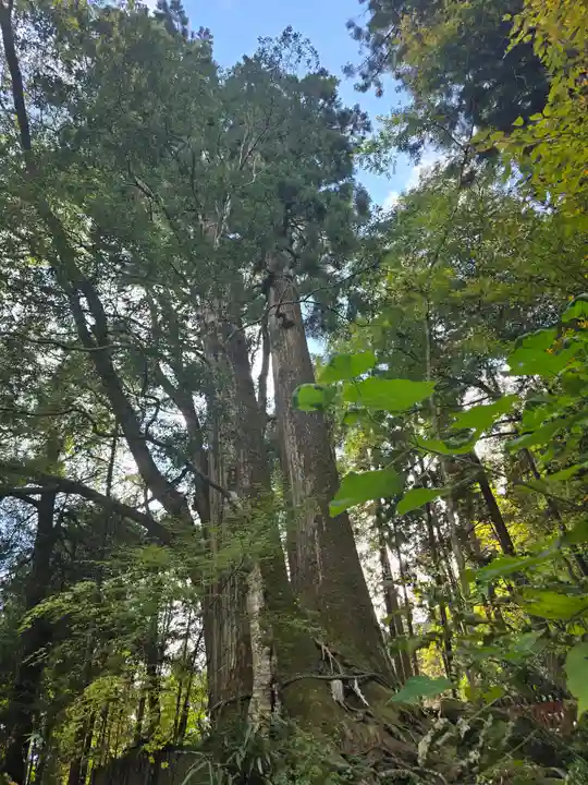 貴船神社奥宮(京都府)