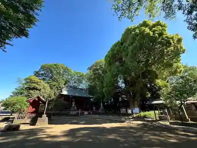 三芳野神社(埼玉県)