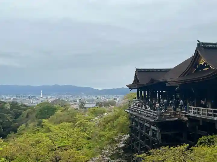 清水寺の{uncategorized: "未分類", other: "その他", undefined: "問題あり", building: "その他建物", grave: "お墓", sacred_gate: "鳥居", guardian: "狛犬", statue: "像", buddha: "仏像", history: "歴史", nature: "自然", garden: "庭園", animal: "動物", pagoda: "塔", temizu: "手水舎", mountain_gate: "山門・神門", sanctuary: "本殿・本堂", subordinate: "末社・摂社", art: "芸術", scenery: "景色", jizo: "地蔵", ema: "絵馬", goshuin: "御朱印", omikuji: "おみくじ", items: "授与品その他", amulet: "お守り", goshuincho: "御朱印帳", eats: "食事", festival: "お祭り", votive_dance: "神楽", shichigosan: "七五三参", wedding: "結婚式", experience: "体験その他", initially: "初詣", around: "周辺", anti_infection: "感染症対策"}