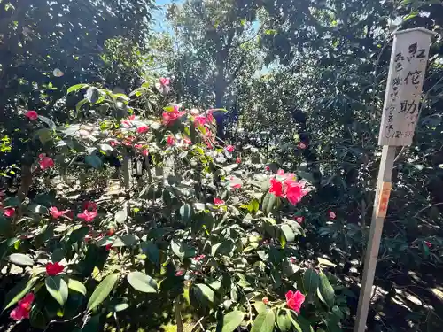 城南宮(京都府)