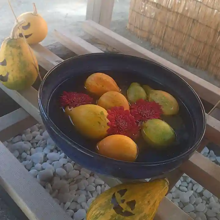 清瀧神社(千葉県)