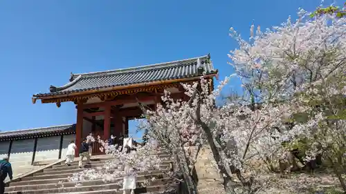 仁和寺(京都府)