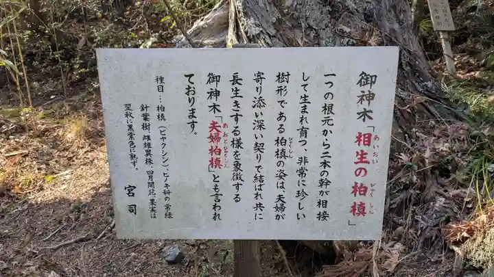 出羽神社の自然