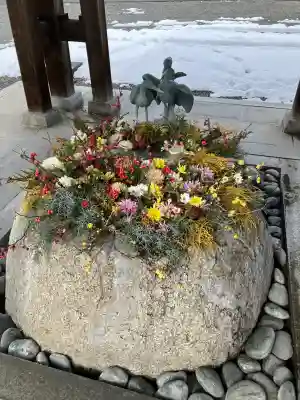 白鷺神社の{uncategorized: "未分類", other: "その他", undefined: "問題あり", building: "その他建物", grave: "お墓", sacred_gate: "鳥居", guardian: "狛犬", statue: "像", buddha: "仏像", history: "歴史", nature: "自然", garden: "庭園", animal: "動物", pagoda: "塔", temizu: "手水舎", mountain_gate: "山門・神門", sanctuary: "本殿・本堂", subordinate: "末社・摂社", art: "芸術", scenery: "景色", jizo: "地蔵", ema: "絵馬", goshuin: "御朱印", omikuji: "おみくじ", items: "授与品その他", amulet: "お守り", goshuincho: "御朱印帳", eats: "食事", festival: "お祭り", votive_dance: "神楽", shichigosan: "七五三参", wedding: "結婚式", experience: "体験その他", initially: "初詣", around: "周辺", anti_infection: "感染症対策"}