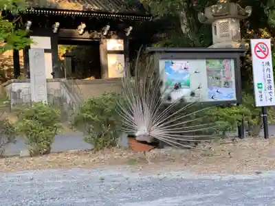 楽法寺（雨引観音）(茨城県)