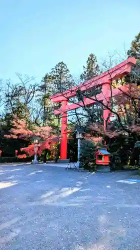 冠稲荷神社の鳥居