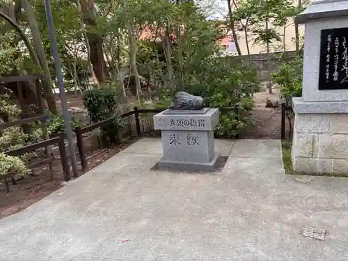 岡太神社の動物