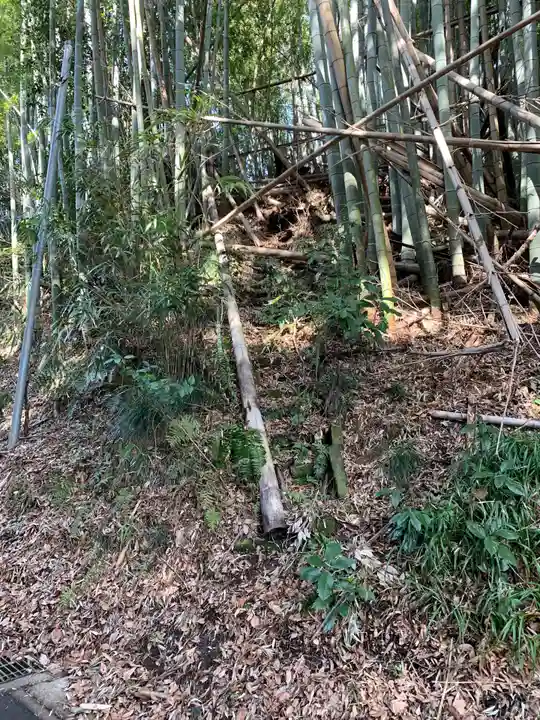中山神社の周辺