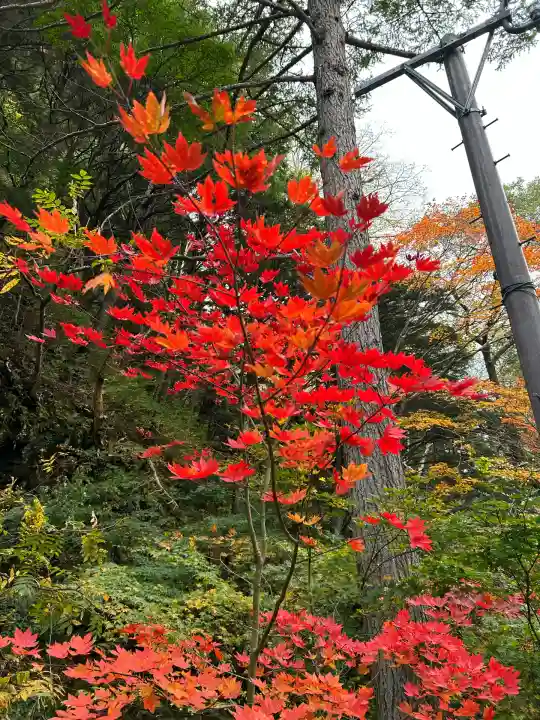 穂高神社奥宮(長野県)