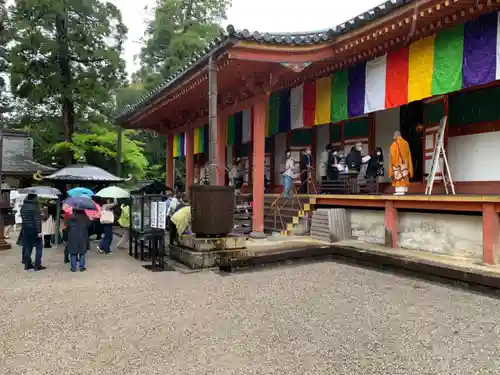 観心寺の本殿・本堂