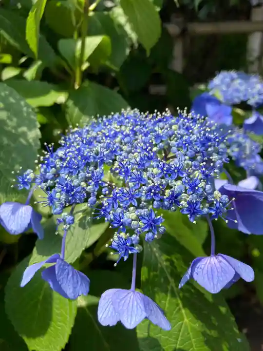 多治速比売神社の自然