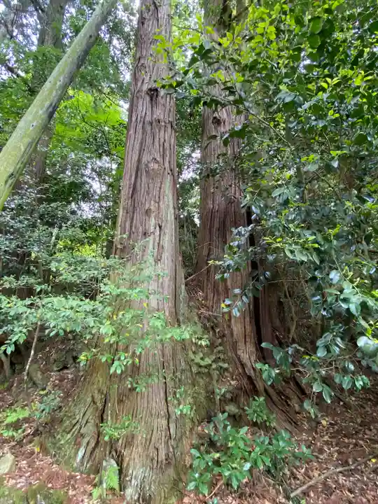 龍華寺(広島県)