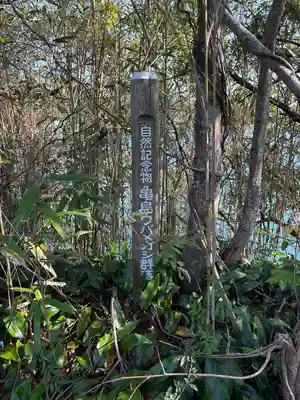 亀島神社(山口県)