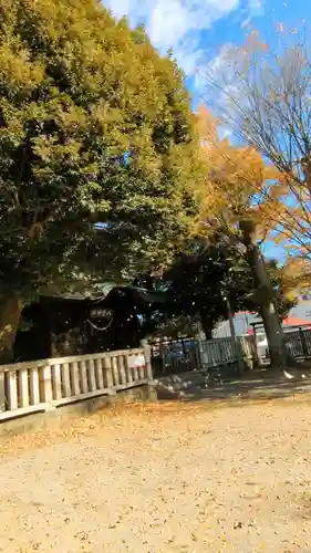 八雲神社 (通五丁目)の自然