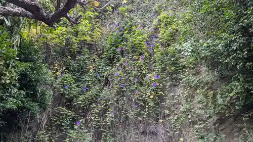 岩窟不動尊（巌窟不動尊／窟堂不動尊／窟堂／岩屋堂）の自然