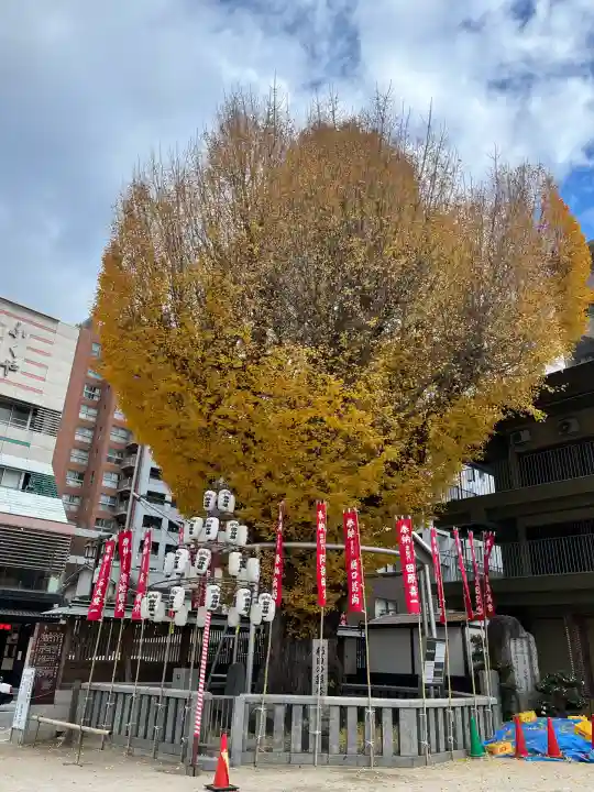 櫛田神社(福岡県)