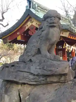 浅草神社の狛犬