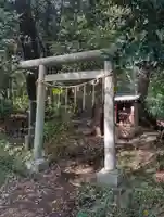 堀之内貝塚神社(駒形神祠)(千葉県)
