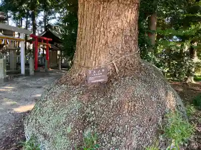 入見神社(愛知県)