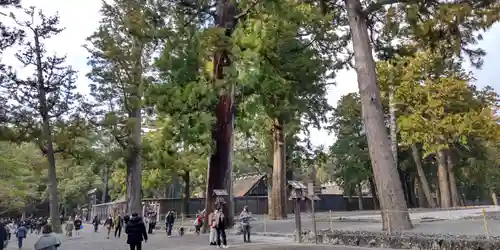 伊勢神宮外宮（豊受大神宮）(三重県)