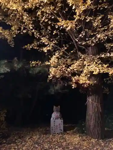 鹿角八坂神社の御朱印