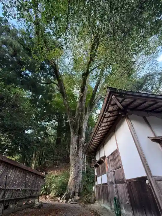 丹生川上神社(下社)(奈良県)