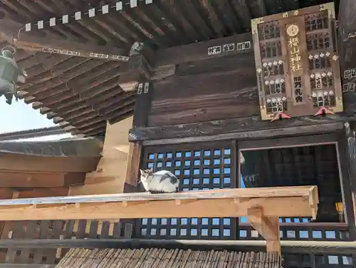 櫻山神社(岩手県)