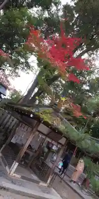 今宮神社のその他建物