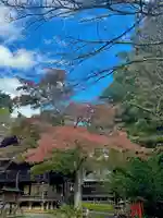 蚊里田八幡宮(長野県)