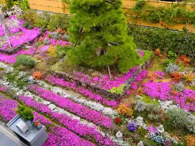寿量山 速成寺(奈良県)