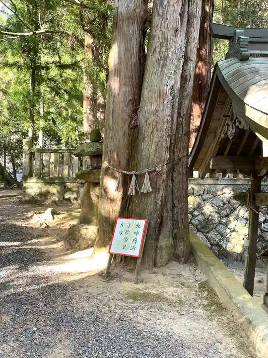 西山春日神社の自然