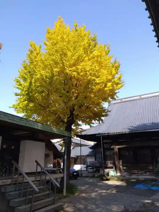 長慶寺(福井県)