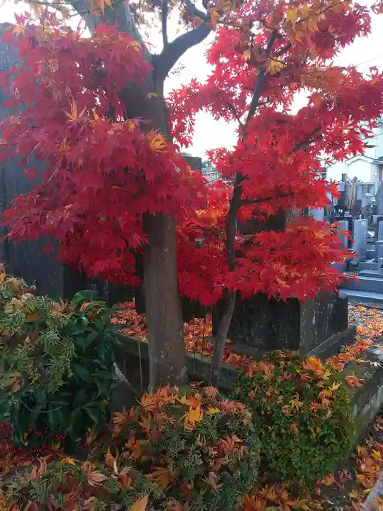 相即寺(東京都)