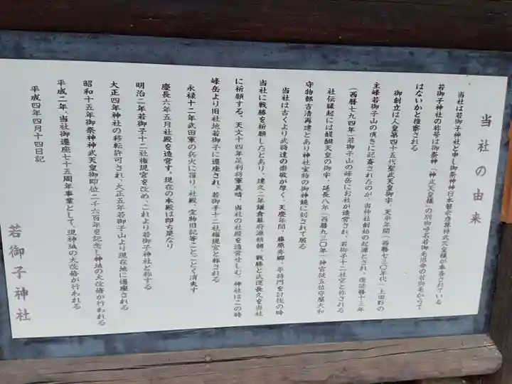 秩父若御子神社(埼玉県)