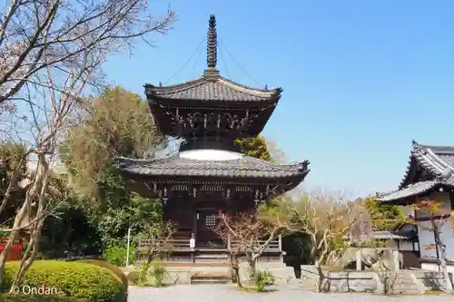 穴太寺の御朱印