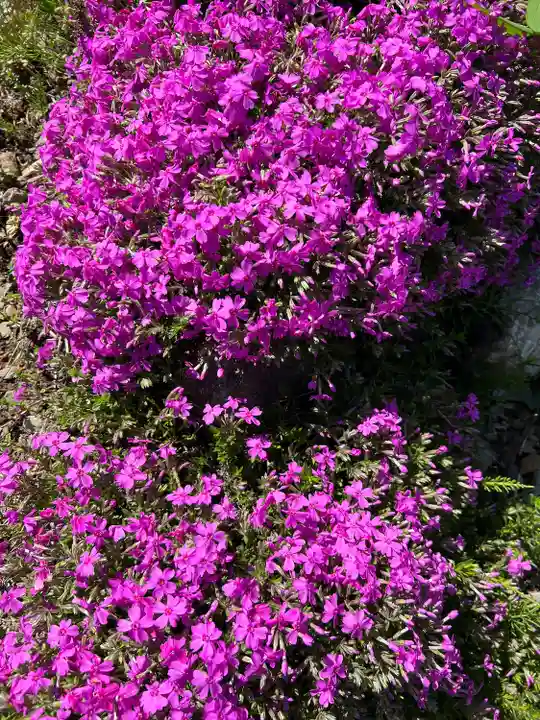 萩日吉神社(埼玉県)