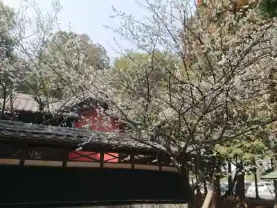 天満社(愛知県)