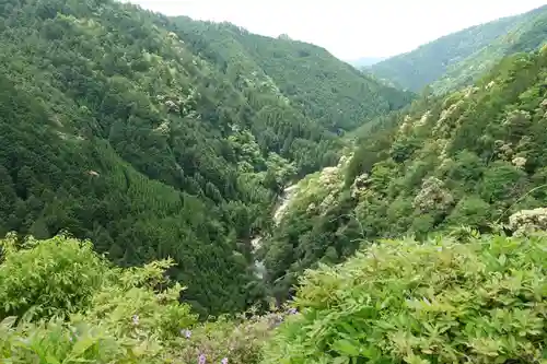 地藏院の景色