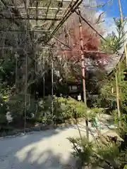 賀茂別雷神社（上賀茂神社）(京都府)