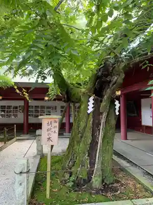 笠間稲荷神社(茨城県)