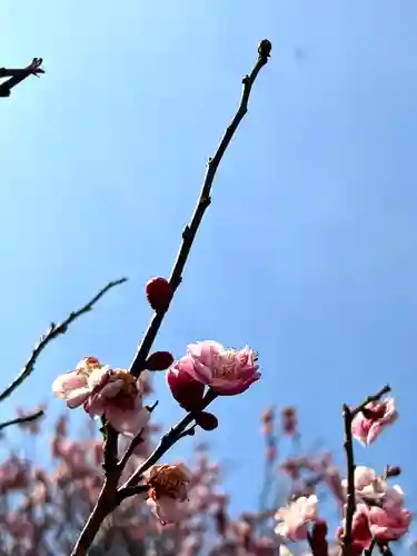 眞田神社の自然